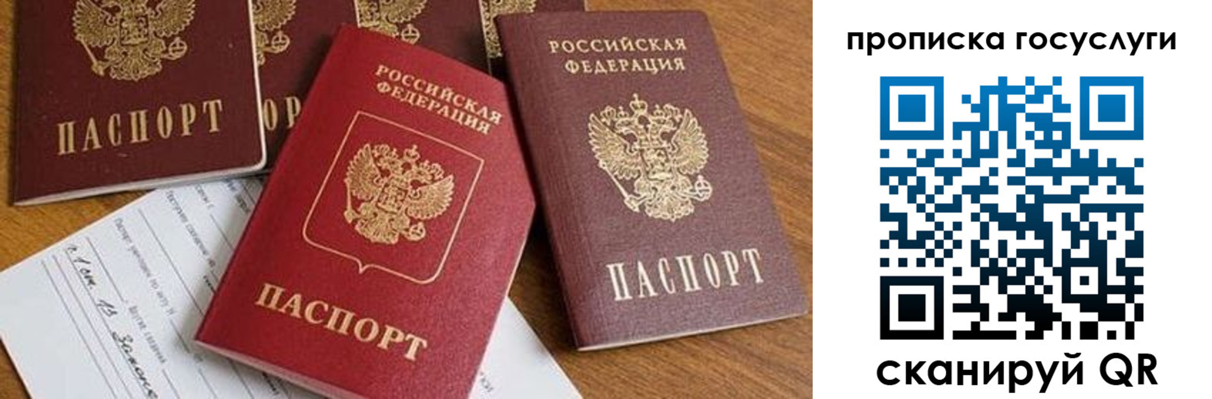 прописка ребенка в Борзе